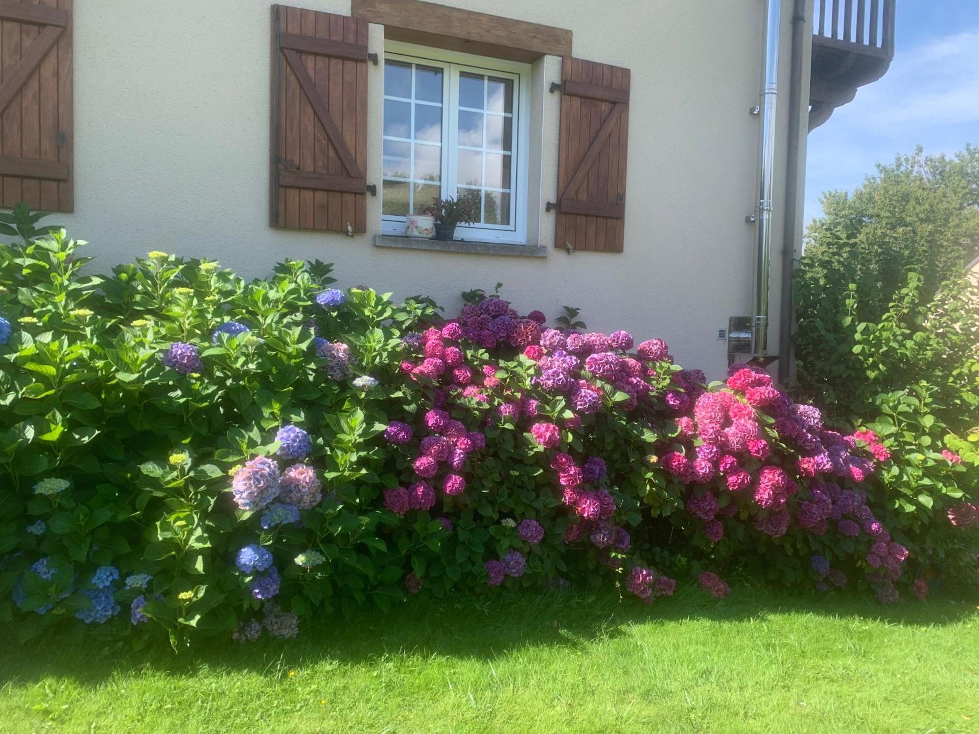 Chambres D'Hotes Le Bignon Dans Les Alpes Mancelles Виллен-ла-Жюель Экстерьер фото